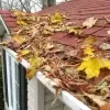 Don’t Forget About Your Gutters